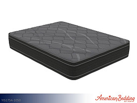 American Bedding Anisha Mattress - 12" Profile | Queen (Double Sided Euro Top | 460 Coil (QN) | Plush Foams)